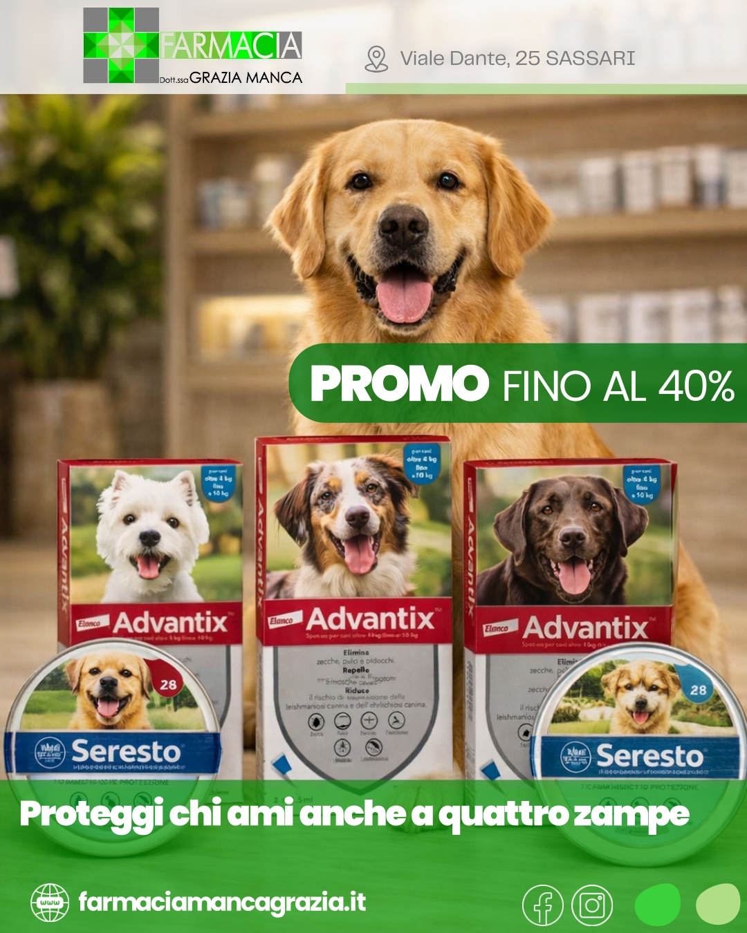 🐾 Proteggi anche chi ami di più, a quattro zampe.